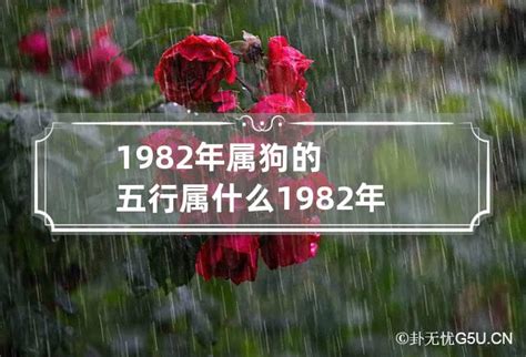 1982屬什麼|1982年属什么 1982年属什么五行